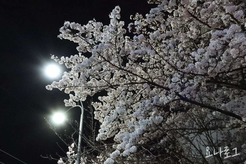 캐논 캐논카메라 카메라추천 캐논카메라추천 브이로그 브이로그용카메라 브이로그카메라 브이로그카메라추천 여자카메라추천 g7x g7xmark3 여행카메라 여행카메라추천 컴팩트카메라 작은카메라 대학생선물 직장인선물 여자친구선물 카메라