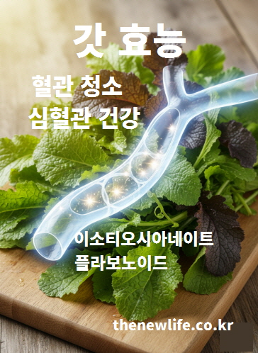 갓 효능의 핵심성분인 이소티오시아네이트와 플라보노이드로 혈관 청소와 심혈관 건강에 도움을 주는 이미지