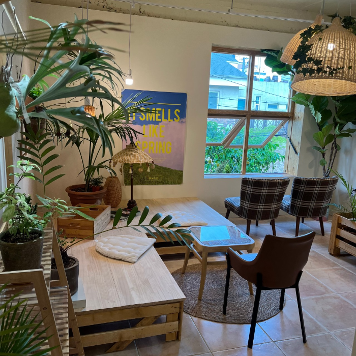 봉봉농원 묘목카페 생방송 오늘 저녁