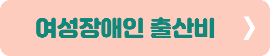 여성장애인 출산비