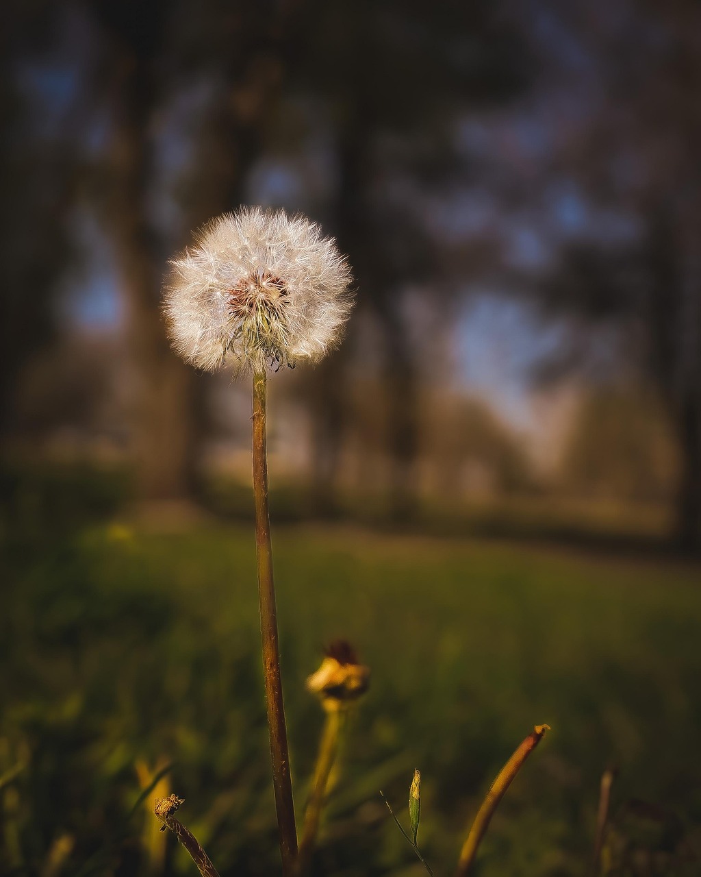 휴면계좌 조회 통합조회 시스템