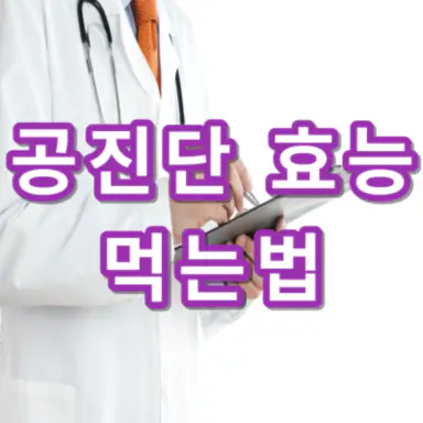 공진단-효능-먹는법-건강