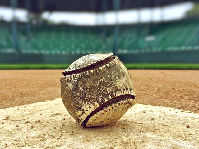 2025 KBO 리그 순위 경쟁 총정리