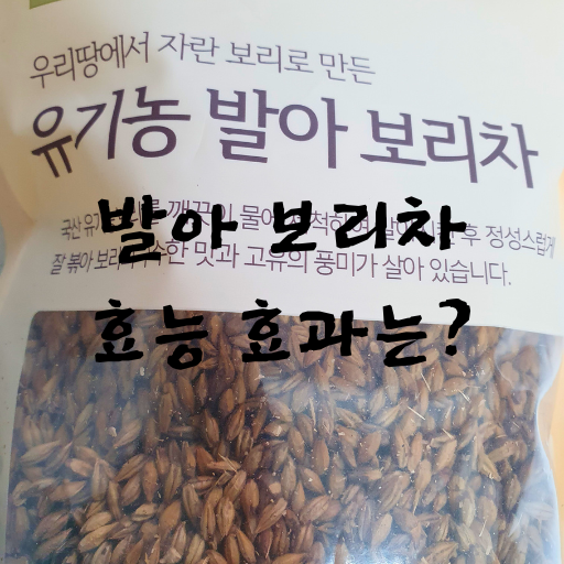 보리차 효능