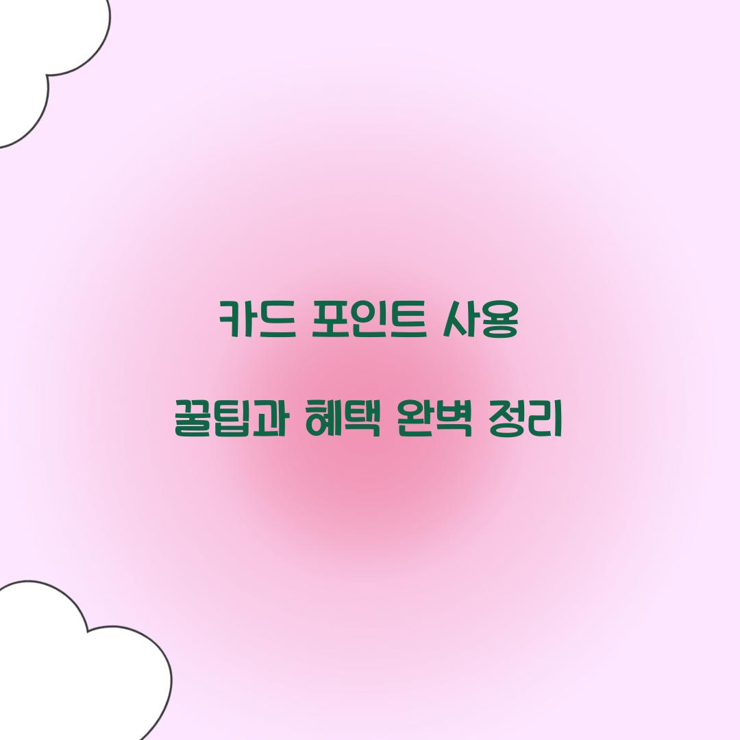카드 포인트 사용