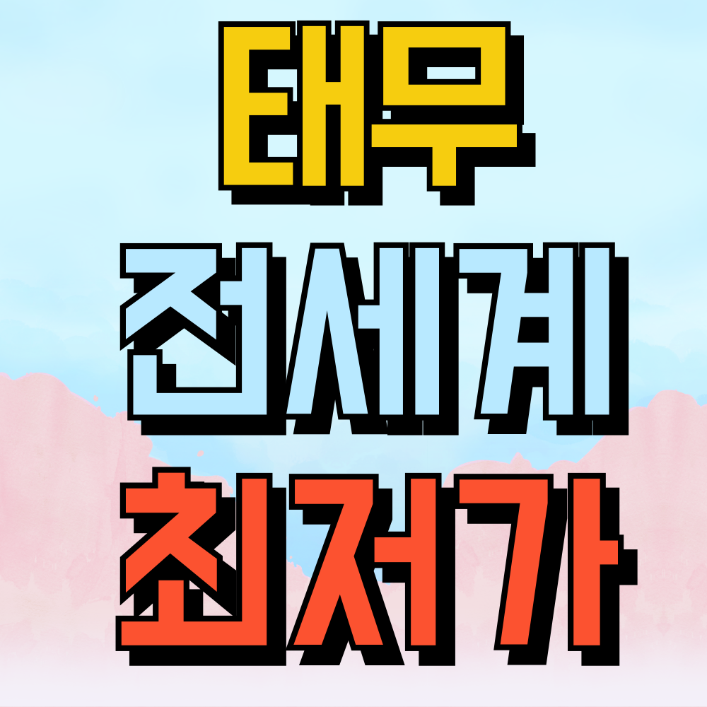 태무 직구 쇼핑몰 전세계 최저가