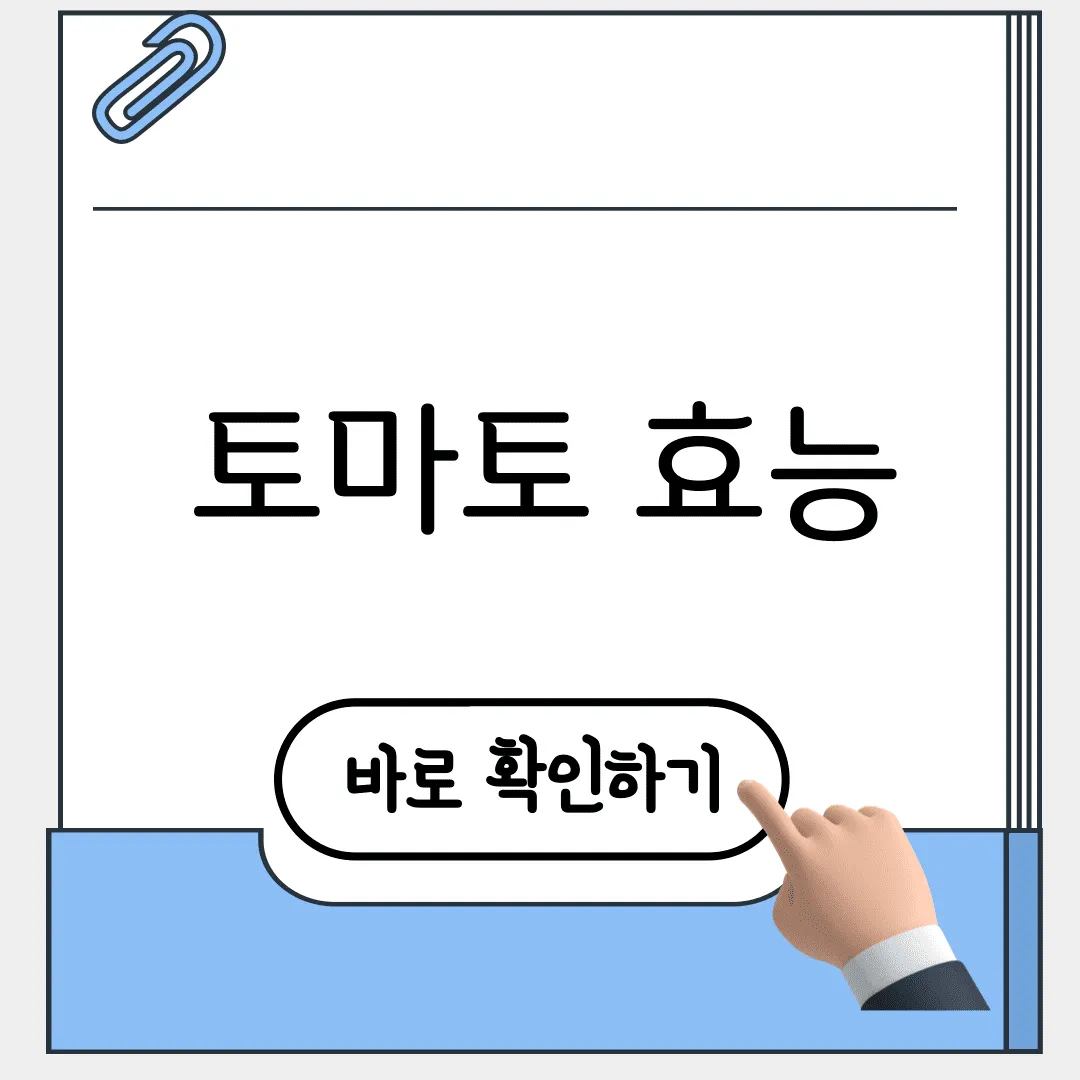 토마토 효능