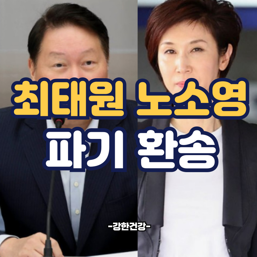 최태원 노소영 파기환송