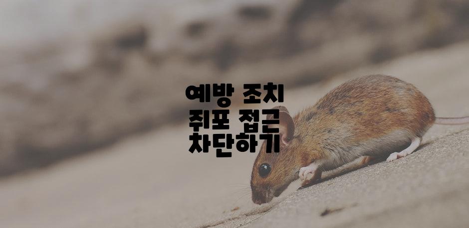 예방 조치 쥐포 접근 차단하기