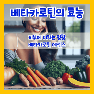 베타카로틴의 효능과 피부에 미치는 영향 베타카로틴 에센스 효과