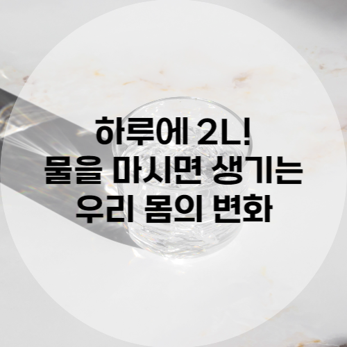 하루에 2L 물을 마시면 생기는 우리 몸의 변화
