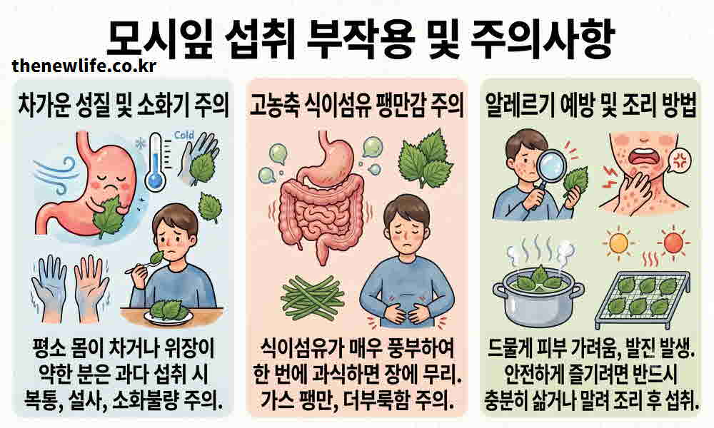 모시잎 효능 부작용