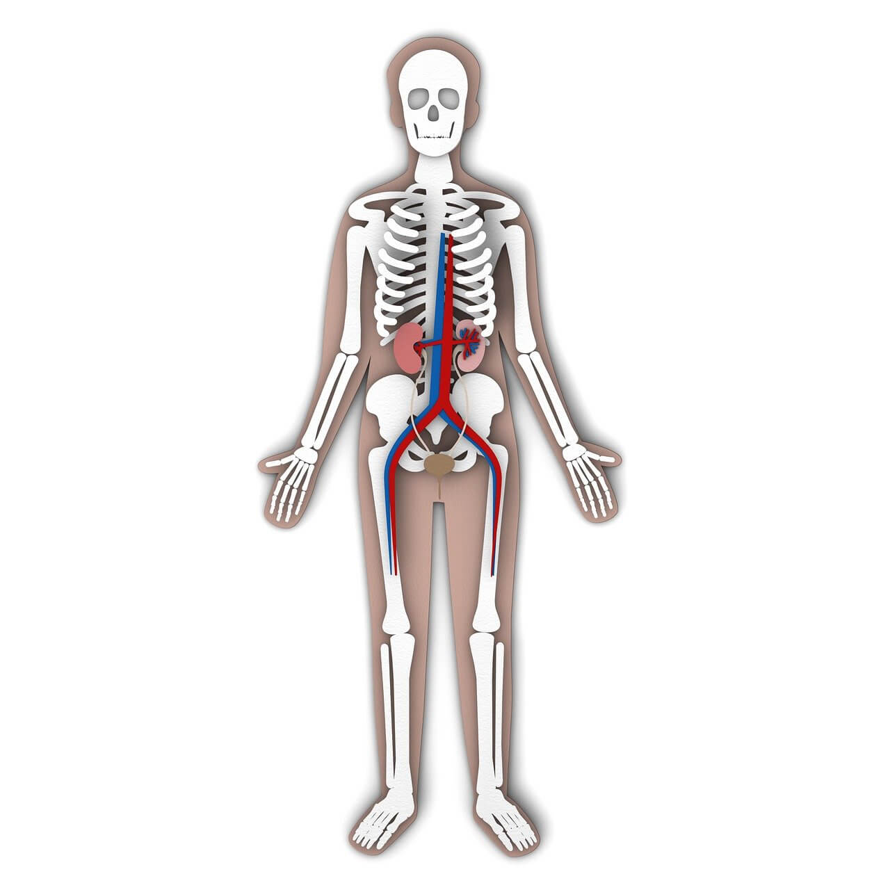 고관절 통증 원인, 충돌증후군·근육 손상부터 관절염까지