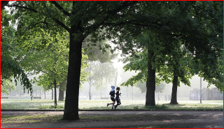 플로깅 : 건강과 환경을 동시에 지키는 새로운 운동 트렌드