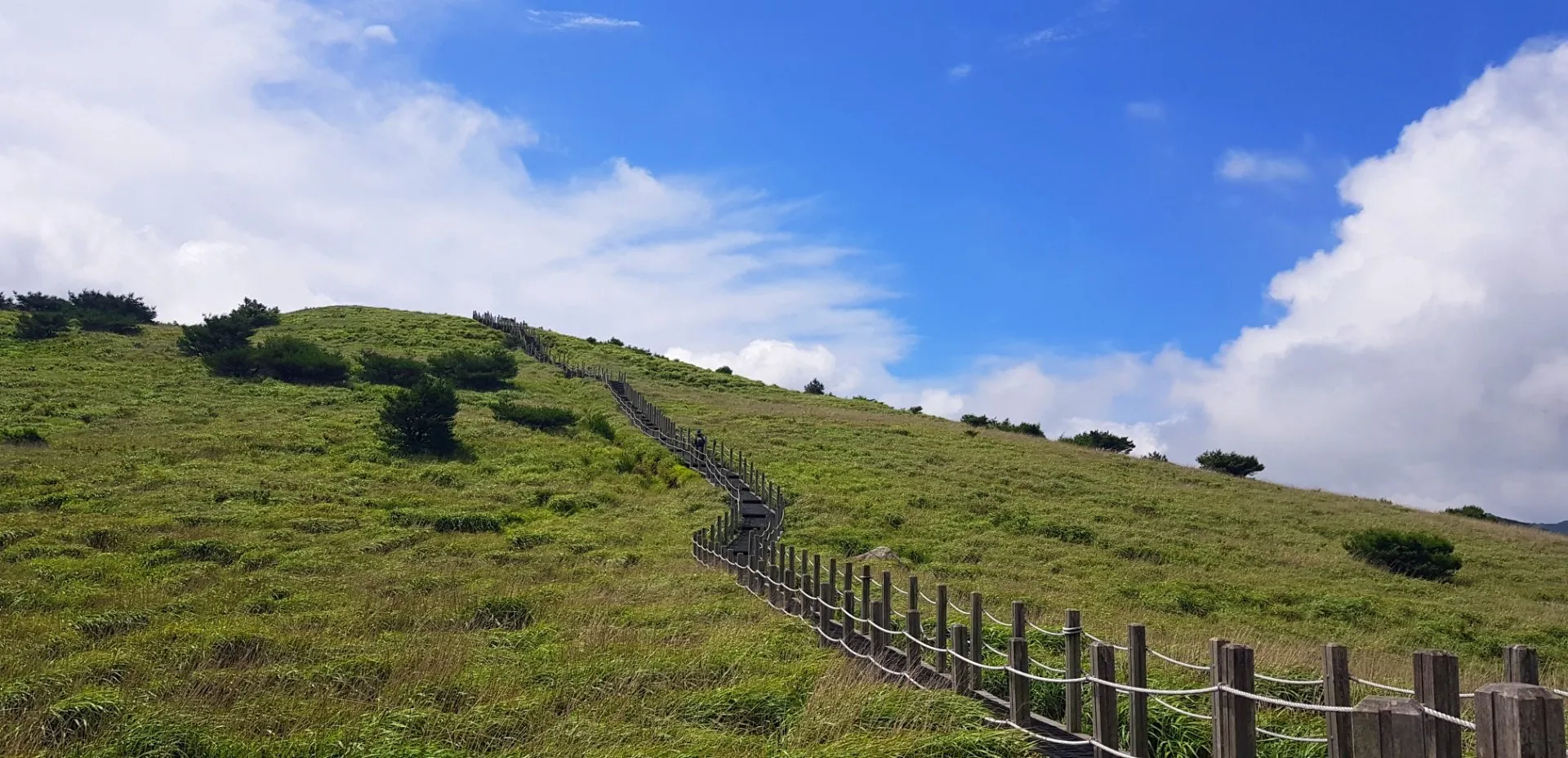 울산 신불산 억새평원