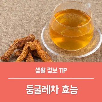 둥글레차 효과 건강에 좋은 차 효능 정리_12