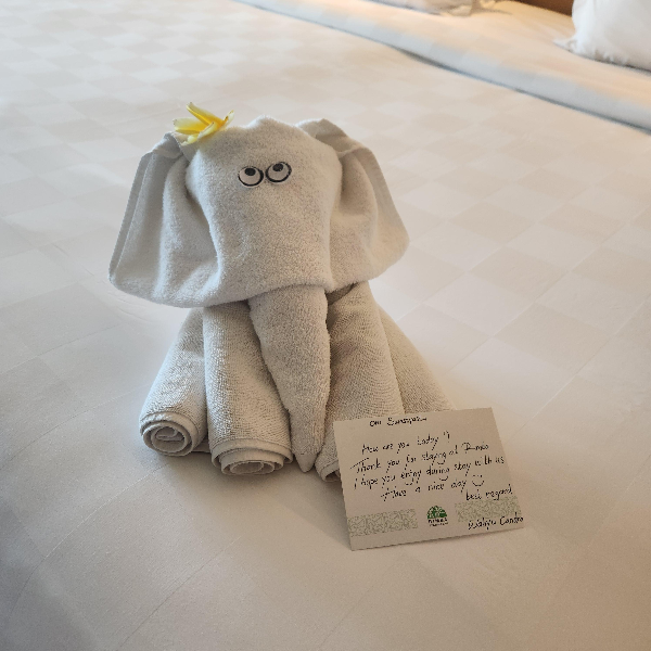 안내 카드와 수건으로 접은 코끼리