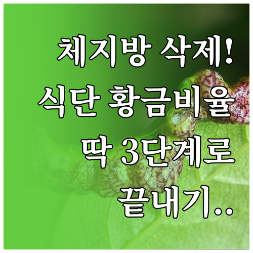 체지방 연소를 돕는 영양 성분 배분과..