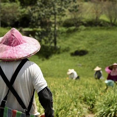 대만여행지원금 신청방법