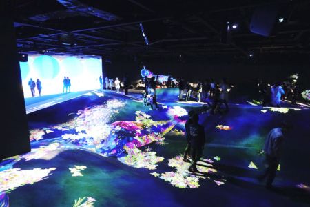 팀랩 보더리스 디지털 아트 박물관 사진