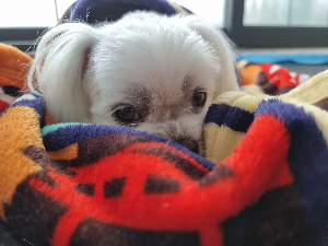 보리&amp;#44;수수&amp;#44;그리고 함께