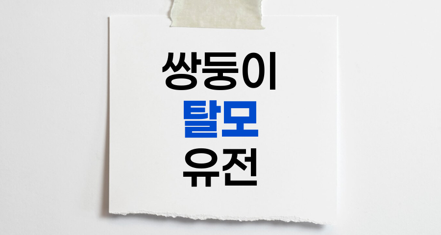 쌍둥이 탈모 유전 패턴과 환경 요인의 영향