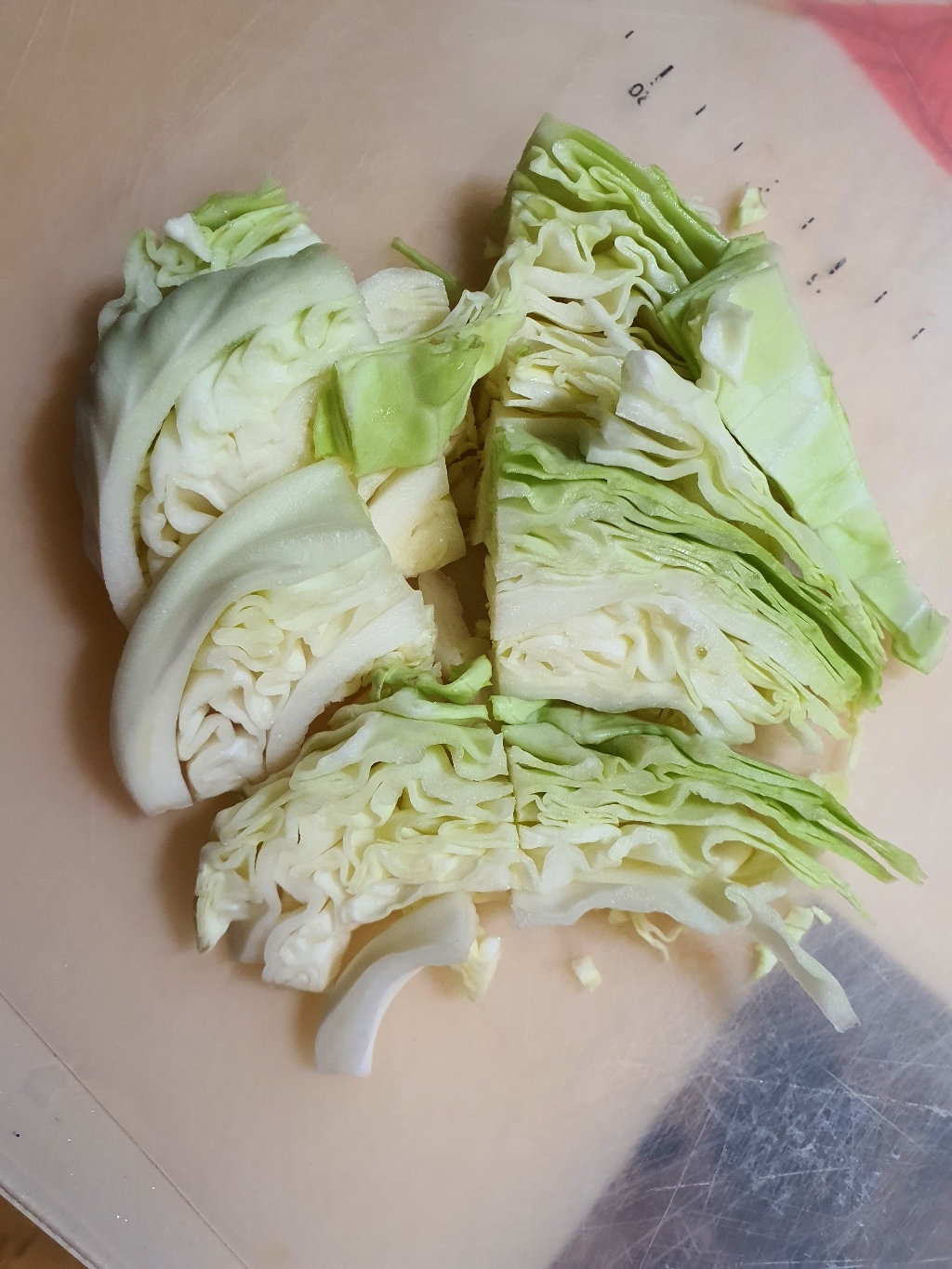양배추 다이어트