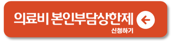 2024 의료비 본인부담상한제 실비 조회 신청방법 환급 1