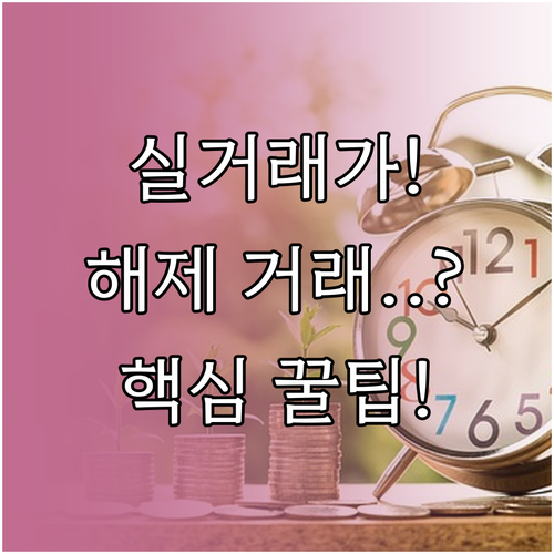 부동산 실거래가 조회부터 해제 거래 ..