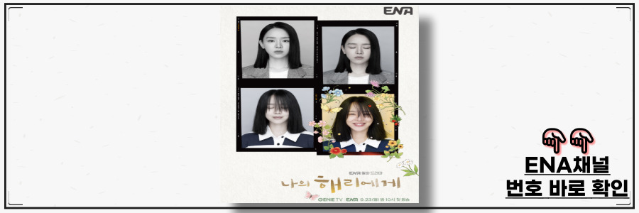 나의 해리에게