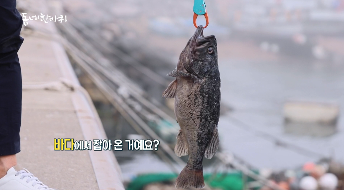 우럭