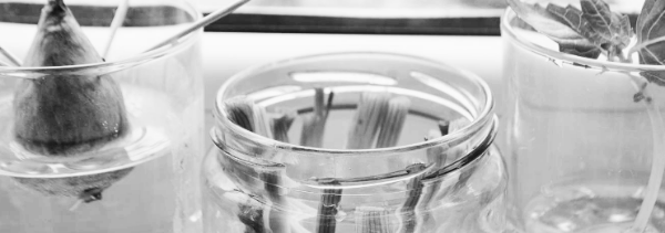 식물 상태 관리 유리