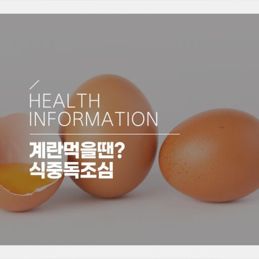  달걀 요리할때 식중독 조심 