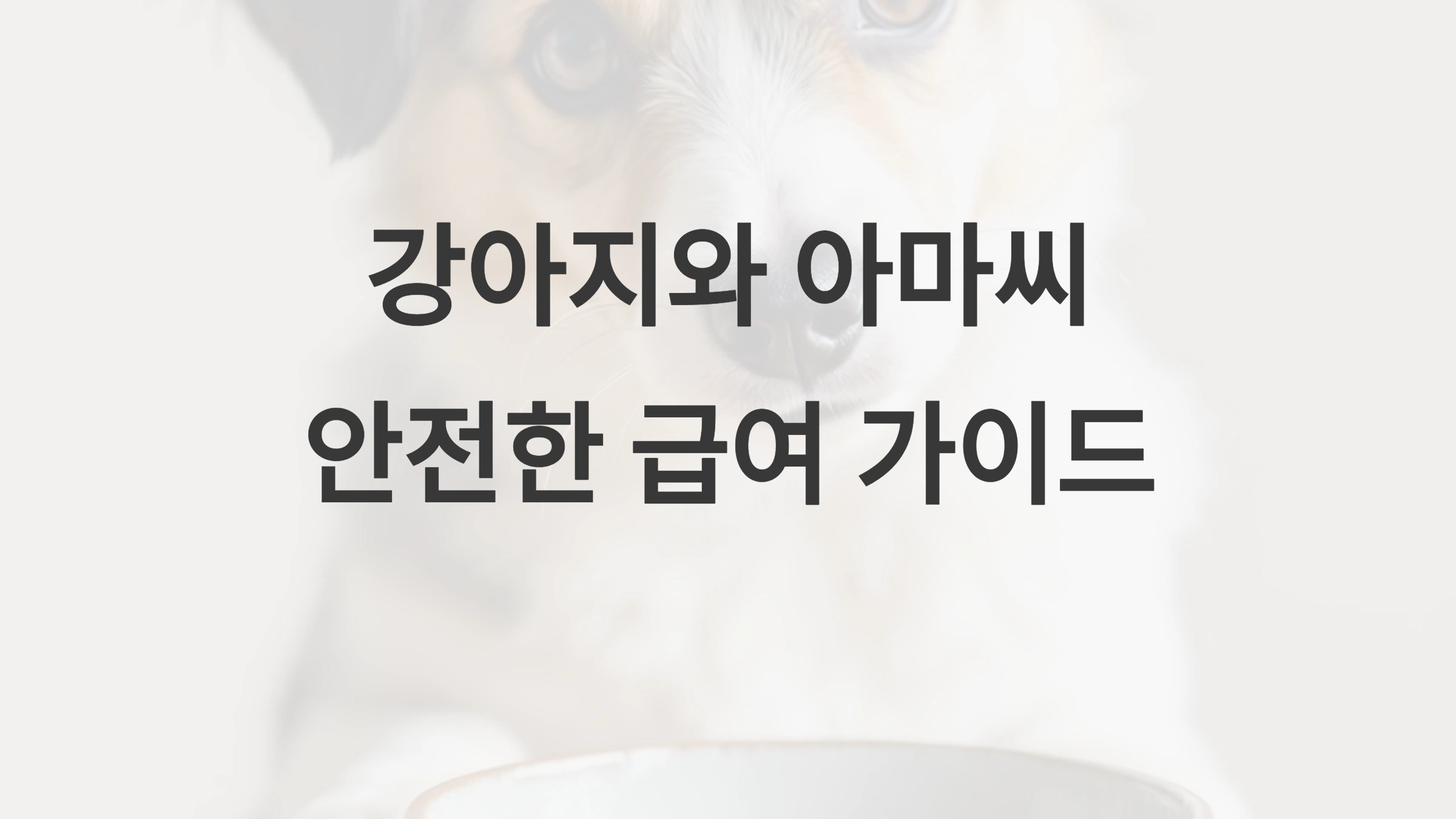 🐶 강아지가 아마씨를 먹었을 때 주의할 점