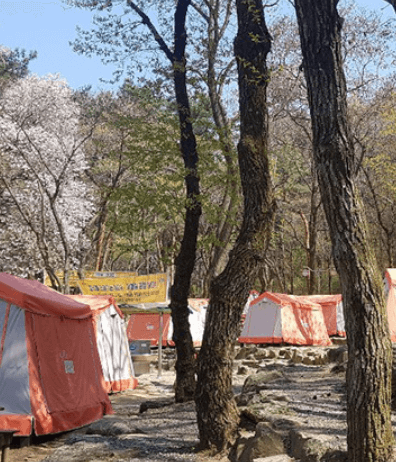 서울대공원캠핑장