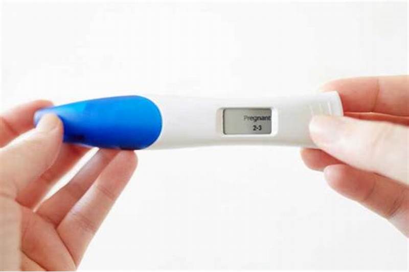 배란일 계산기 대안