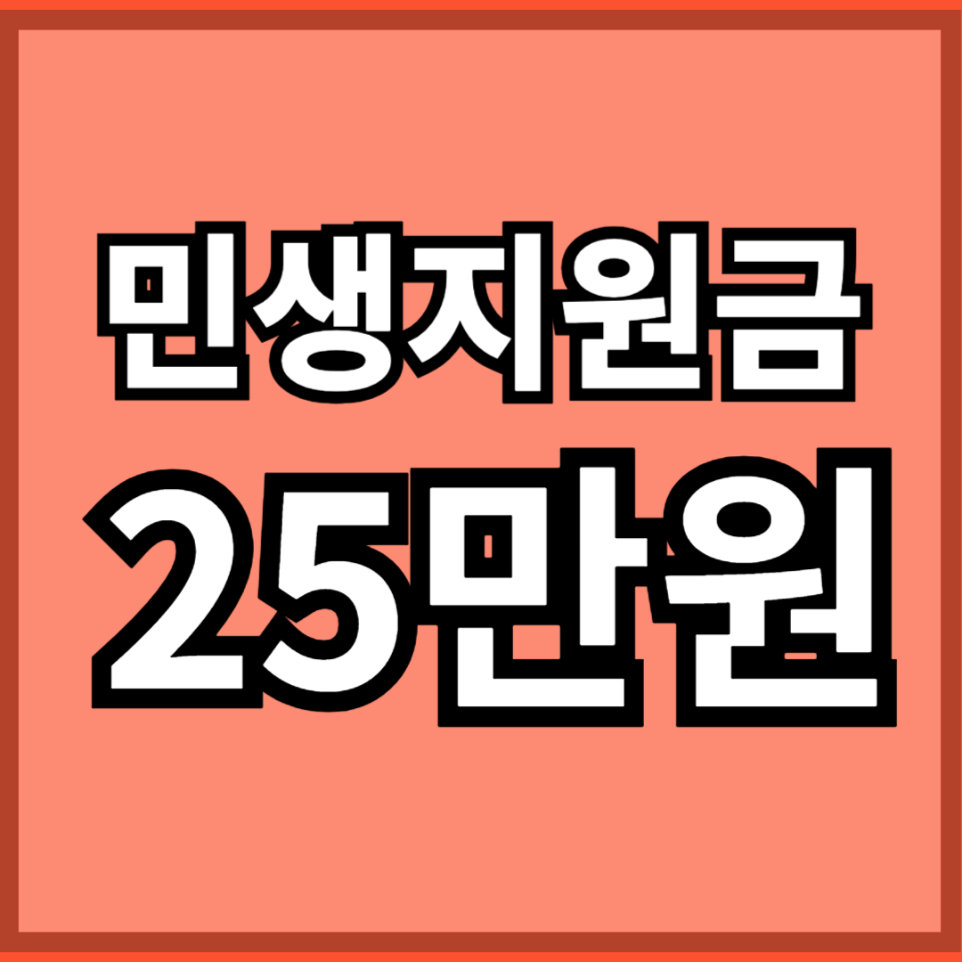 민생지원금