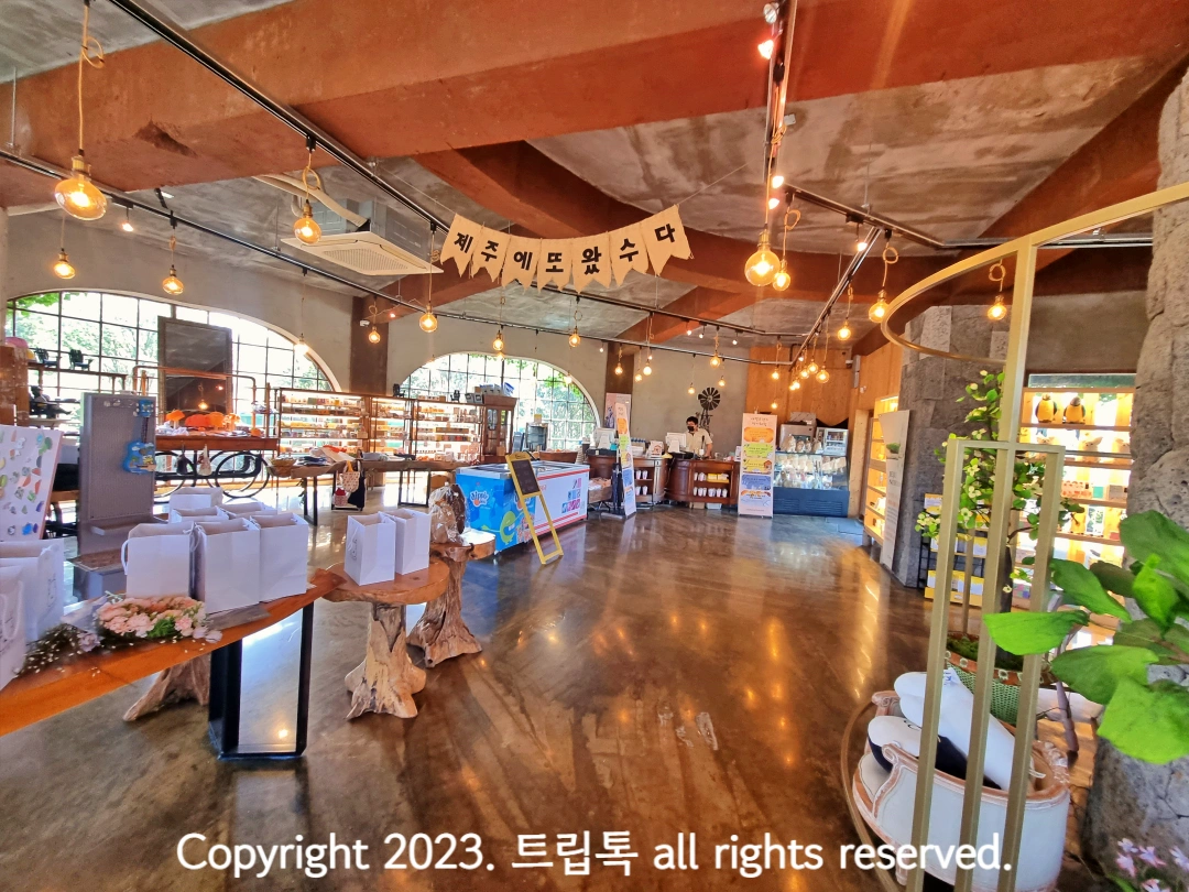 나무와 노란 불빛으로 꾸며진 카페에 나무위에 소품들과 아이스크림 냉장고