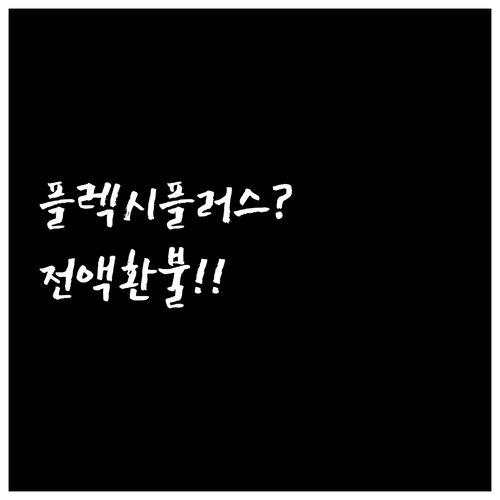 에어 뉴질랜드 취소 수수료, 플렉시플..