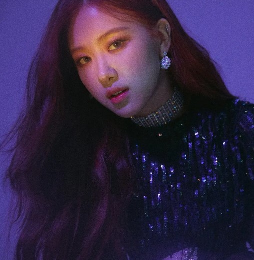 로제의 향기를 느끼다: 명품 향수 비교 리뷰