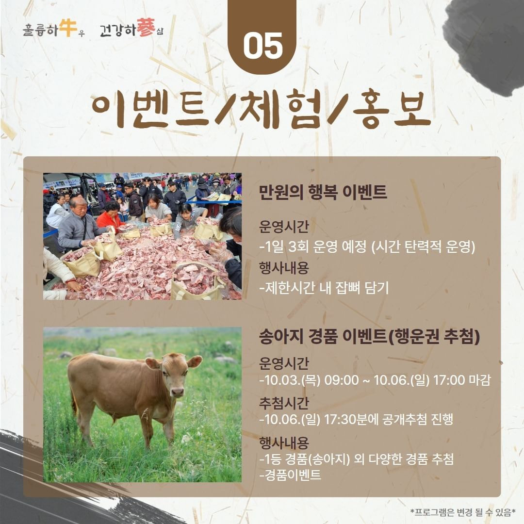 제22회 홍천 인삼한우명품축제 프로그램