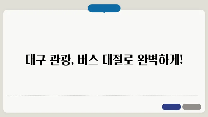 대구관광버스대절 비용 후기 총정리