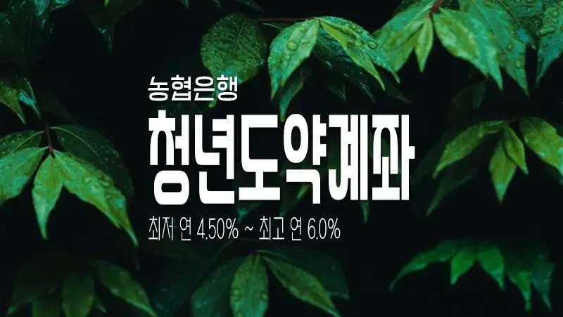 NH농협은행 청년도약계좌 조건 및 혜택 총정리