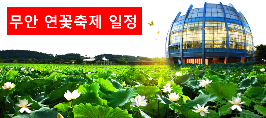무안 연꽃축제