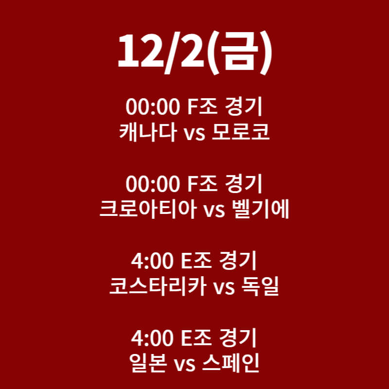 카타르 월드컵 일정