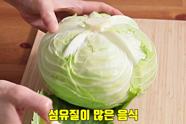 양배추 효능 장에 독소가 쌓이면, 장독소배출방법 장독소자가진단, 장게실염 대장암, 건강 팁줌 매일꿀정보