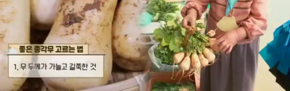 좋은 총각무 고르는 법