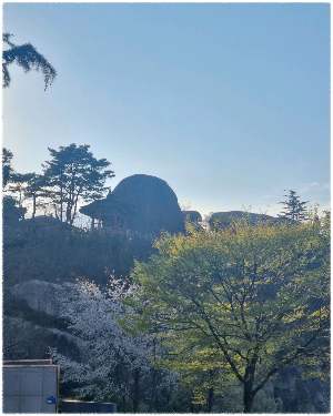 영랑호범바위