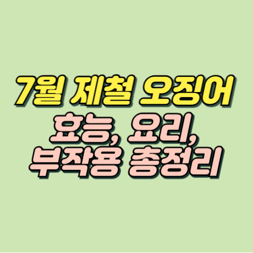 7월 제철음식 오징어