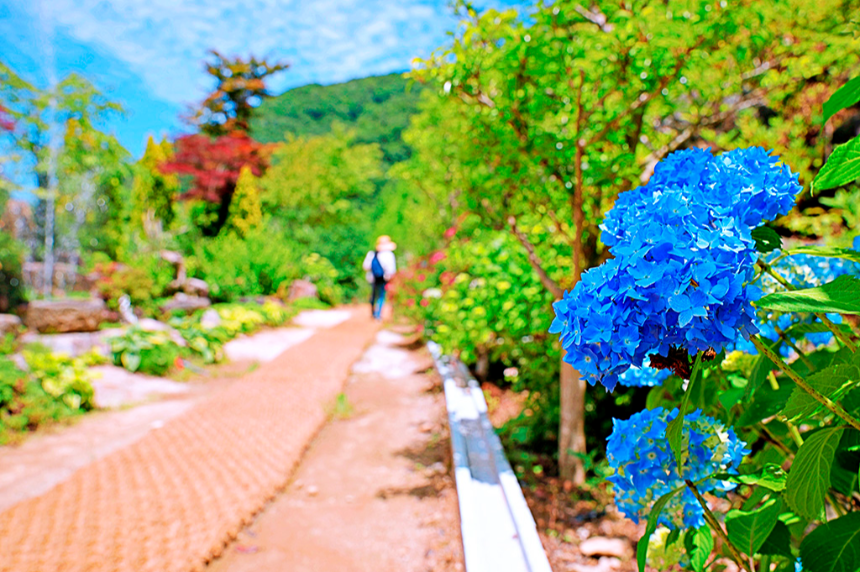 특색 있고 아름다운 민간 정원 30선 추천 여행 - 14. 고성 그레이스 정원